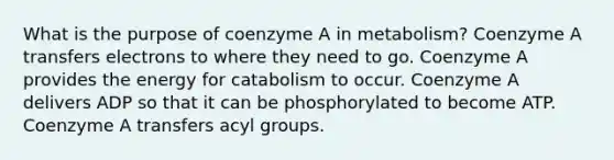 What is the purpose of coenzyme A in metabolism? Coenzyme A transfers electrons to where they need to go. Coenzyme A provides the energy for catabolism to occur. Coenzyme A delivers ADP so that it can be phosphorylated to become ATP. Coenzyme A transfers acyl groups.