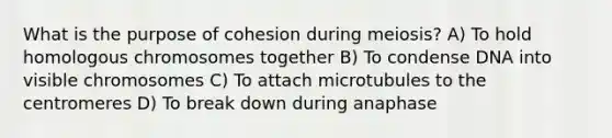 What is the purpose of cohesion during meiosis? A) To hold homologous chromosomes together B) To condense DNA into visible chromosomes C) To attach microtubules to the centromeres D) To break down during anaphase