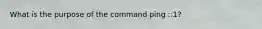 What is the purpose of the command ping ::1?