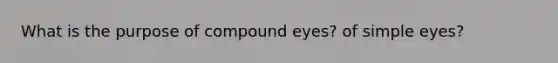 What is the purpose of compound eyes? of simple eyes?