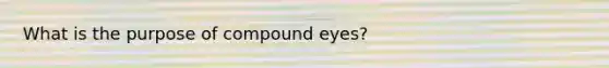 What is the purpose of compound eyes?