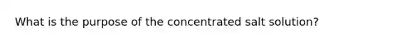 What is the purpose of the concentrated salt solution?