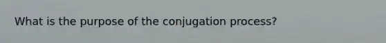 What is the purpose of the conjugation process?