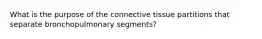 What is the purpose of the connective tissue partitions that separate bronchopulmonary segments?