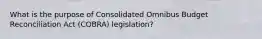 What is the purpose of Consolidated Omnibus Budget Reconciliation Act (COBRA) legislation?