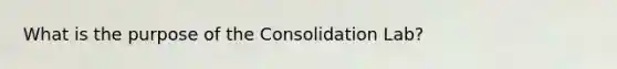 What is the purpose of the Consolidation Lab?