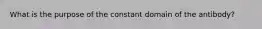 What is the purpose of the constant domain of the antibody?