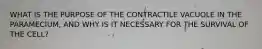 WHAT IS THE PURPOSE OF THE CONTRACTILE VACUOLE IN THE PARAMECIUM, AND WHY IS IT NECESSARY FOR THE SURVIVAL OF THE CELL?