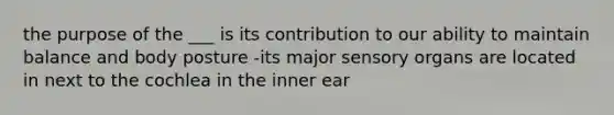 the purpose of the ___ is its contribution to our ability to maintain balance and body posture -its major sensory organs are located in next to the cochlea in the inner ear