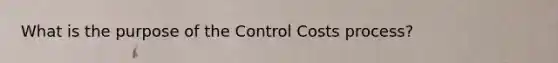 What is the purpose of the Control Costs process?