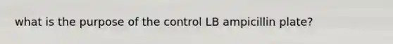 what is the purpose of the control LB ampicillin plate?