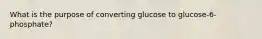 What is the purpose of converting glucose to glucose-6-phosphate?