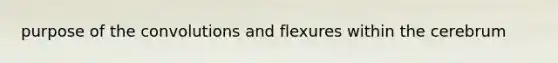 purpose of the convolutions and flexures within the cerebrum