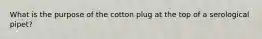 What is the purpose of the cotton plug at the top of a serological pipet?