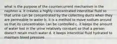 what is the purpose of the countercurrent mechanism in the nephron a. it creates a highly concentrated interstitial fluid so that urine can be concentrated by the collecting ducts when they are permeable to water b. it is a method to move sodium around so that its concentration can be controlled c. it keeps the amount of water lost in the urine relatively constant so that a person doesn't retain much water d. it keeps interstitial fluid hydrated to maintain blood pressure