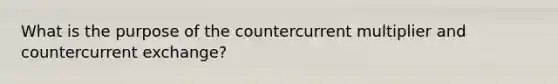 What is the purpose of the countercurrent multiplier and countercurrent exchange?