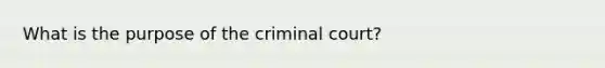 What is the purpose of the criminal court?