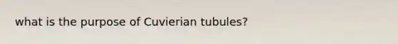 what is the purpose of Cuvierian tubules?