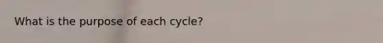 What is the purpose of each cycle?