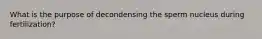 What is the purpose of decondensing the sperm nucleus during fertilization?