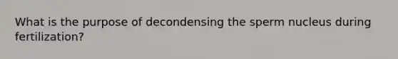 What is the purpose of decondensing the sperm nucleus during fertilization?