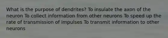 What is the purpose of dendrites? To insulate the axon of the neuron To collect information from other neurons To speed up the rate of transmission of impulses To transmit information to other neurons