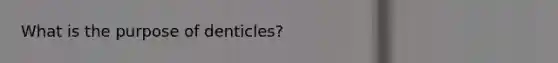 What is the purpose of denticles?