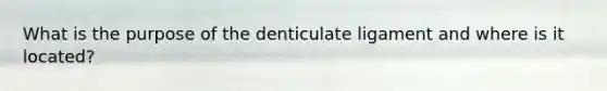 What is the purpose of the denticulate ligament and where is it located?