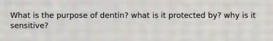 What is the purpose of dentin? what is it protected by? why is it sensitive?