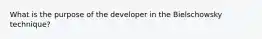 What is the purpose of the developer in the Bielschowsky technique?