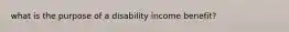 what is the purpose of a disability income benefit?