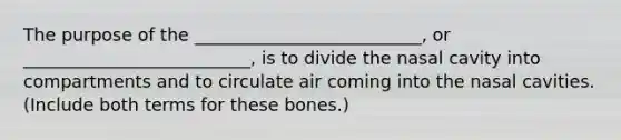 The purpose of the __________________________, or __________________________, is to divide the nasal cavity into compartments and to circulate air coming into the nasal cavities. (Include both terms for these bones.)