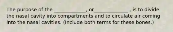 The purpose of the _____________, or______________ , is to divide the nasal cavity into compartments and to circulate air coming into the nasal cavities. (Include both terms for these bones.)