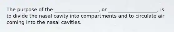 The purpose of the __________________, or ____________________, is to divide the nasal cavity into compartments and to circulate air coming into the nasal cavities.