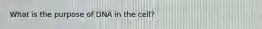 What is the purpose of DNA in the cell?