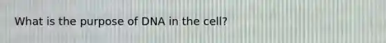 What is the purpose of DNA in the cell?