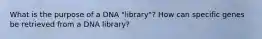 What is the purpose of a DNA "library"? How can specific genes be retrieved from a DNA library?