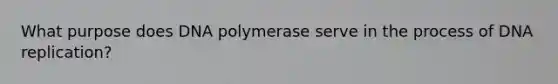 What purpose does DNA polymerase serve in the process of DNA replication?