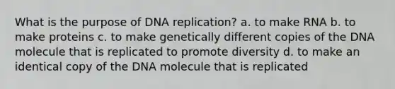 What is the purpose of DNA replication? a. to make RNA b. to make proteins c. to make genetically different copies of the DNA molecule that is replicated to promote diversity d. to make an identical copy of the DNA molecule that is replicated