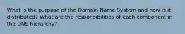 What is the purpose of the Domain Name System and how is it distributed? What are the responsibilities of each component in the DNS hierarchy?