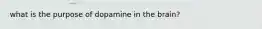 what is the purpose of dopamine in the brain?