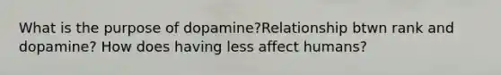 What is the purpose of dopamine?Relationship btwn rank and dopamine? How does having less affect humans?