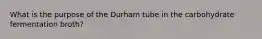 What is the purpose of the Durham tube in the carbohydrate fermentation broth?