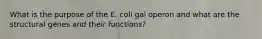 What is the purpose of the E. coli gal operon and what are the structural genes and their functions?