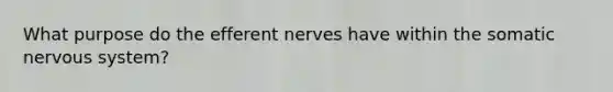 What purpose do the efferent nerves have within the somatic nervous system?