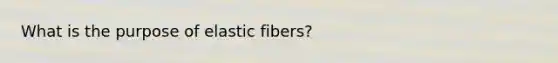 What is the purpose of elastic fibers?