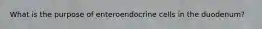 What is the purpose of enteroendocrine cells in the duodenum?