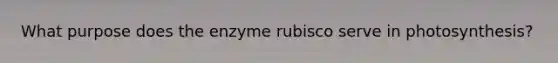 What purpose does the enzyme rubisco serve in photosynthesis?