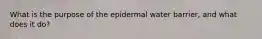 What is the purpose of the epidermal water barrier, and what does it do?