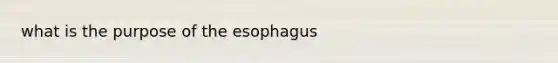 what is the purpose of the esophagus